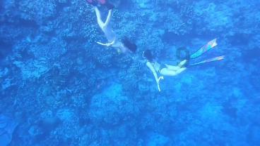 全民烧脑3去广告版